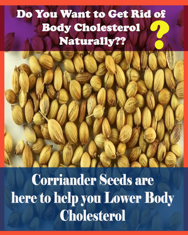 corriander for lowering cholesterol