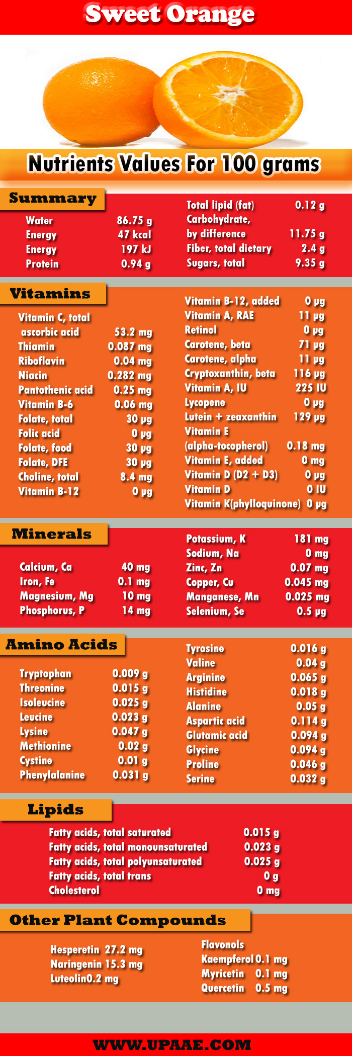 1-mandarin-orange-nutrition-facts-besto-blog