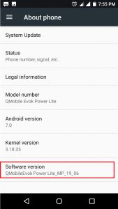 Enable android developer options, select software version