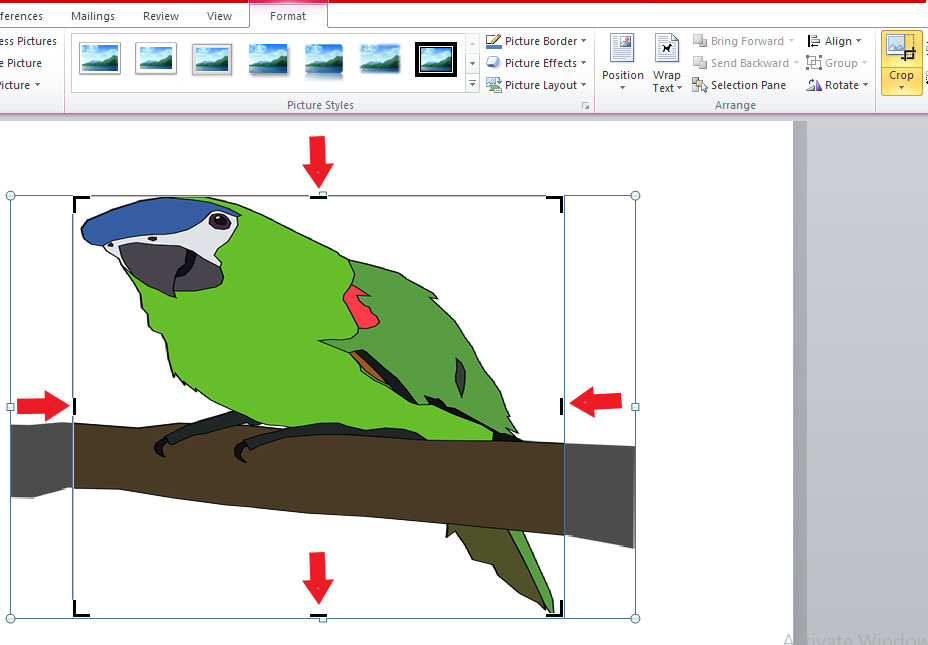 how-to-crop-pictures-in-word-upaae