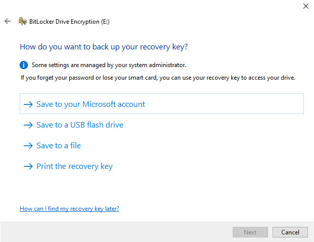 Select an option to save your bitlocker recovery key.