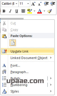 update link in ms word for paste special option.