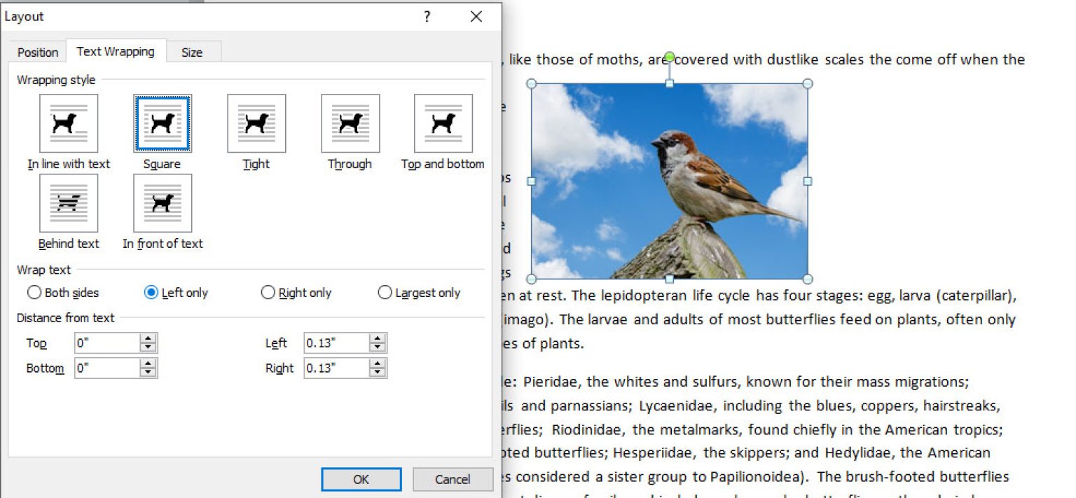 How To Wrap Text In Word From One Side UPaae