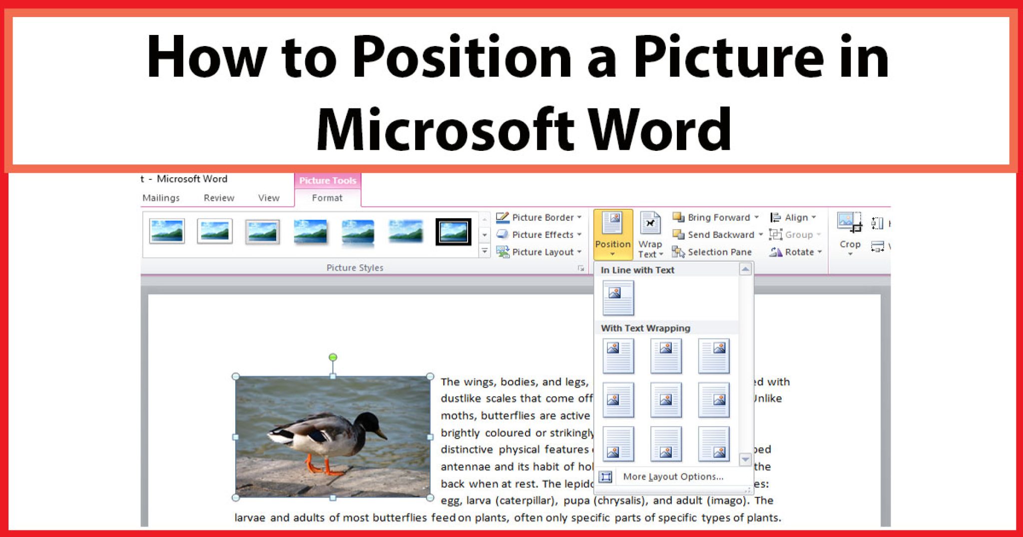 How To Position A Picture In A Word Document