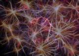 Alarming Projection: U.S. Dementia Rates to Double by 2060