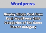 Display Single Post from Each WordPress Child Category of The Same Parent Category