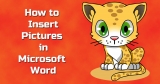 How to Insert picture in Ms Word