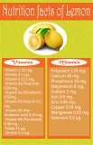 Lemon Uses, Health Benefits and Nutrition Facts of lemon
