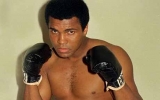 Best Quotes Of Mohammad Ali
