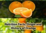 Orange Nutrition Facts, History and its Origin–Food Facts