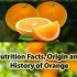 Top 5 Vitamin C Rich Fruits and Health Benefits of Vitamin C