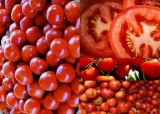 Tomatoes Nutrition Facts and Health Benefits