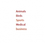 How to Display Only WordPress Parent Categories