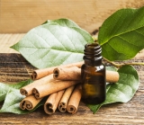 Health Benefits of Cinnamon Essential oil