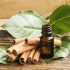How to Treat Acne with Tea Tree essential oil