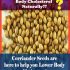 Difference between LDL (Bad Cholesterol) and HDL (Good Cholesterol)