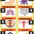FCPS-1 SURGERY PAST PAPERS